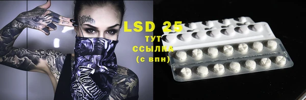 ПСИЛОЦИБИНОВЫЕ ГРИБЫ Баксан