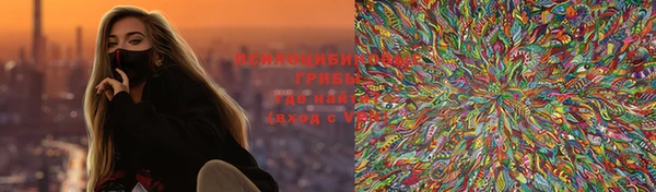 крисы Балахна