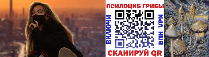 как найти наркотики  Радужный  Псилоцибиновые грибы GOLDEN TEACHER 